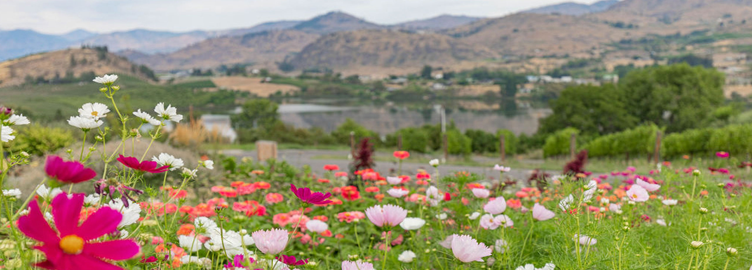 Lagriōth Winery at Chelan Valley Farms in Manson WA