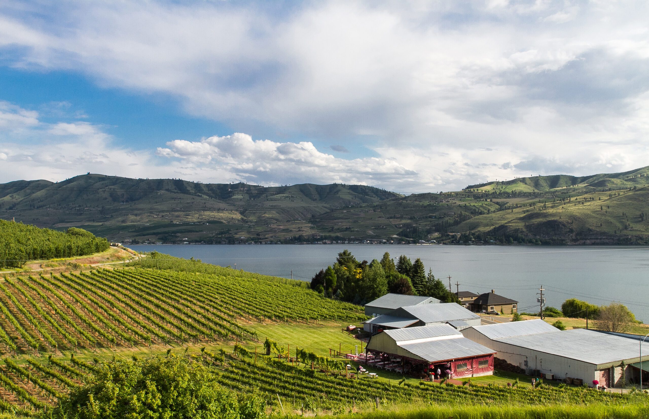 Lake Chelan Winery estate vineyard rows Chelan WA