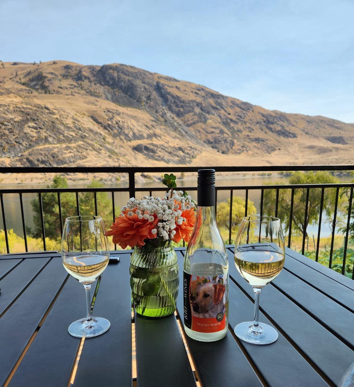 Rio Vista Wines scenic Columbia River valley views from Chelan