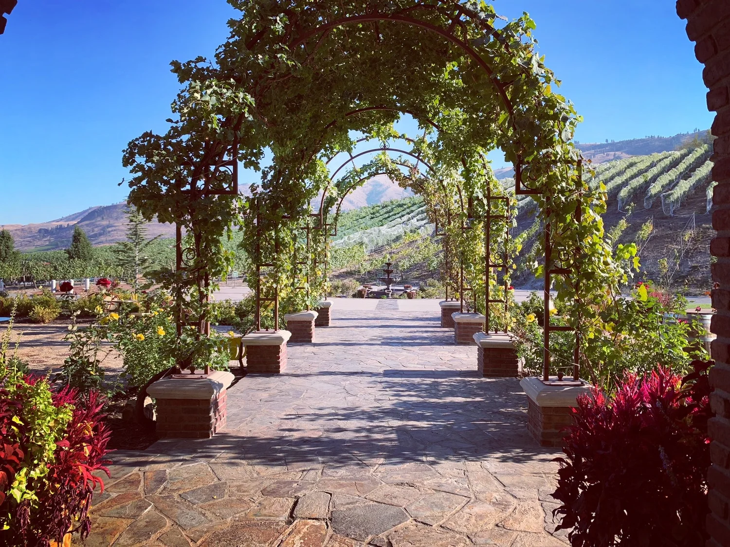 Siren Song Winery vineyard property overlooking Lake Chelan