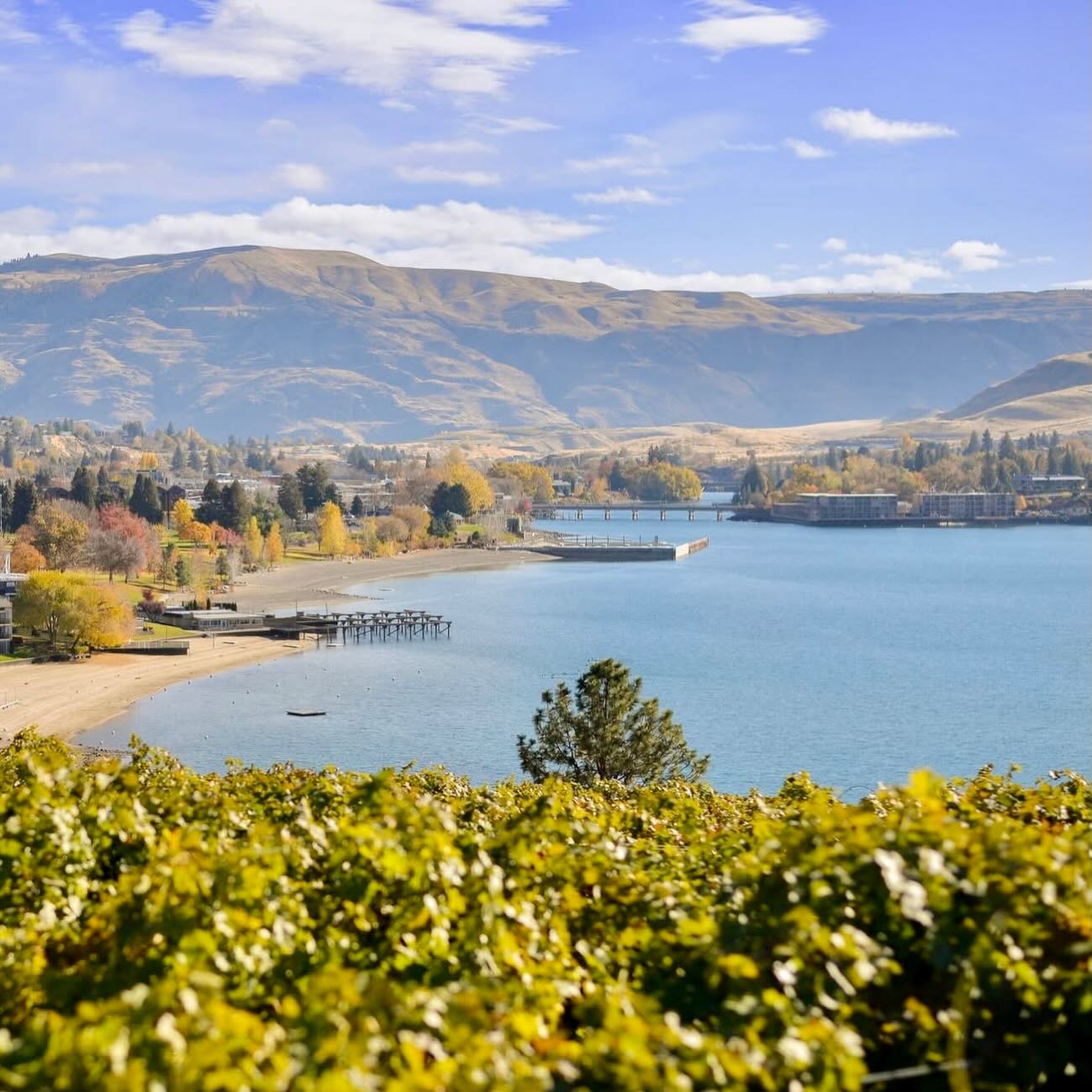 Vin Du Lac Winery panoramic Lake Chelan view from vineyard
