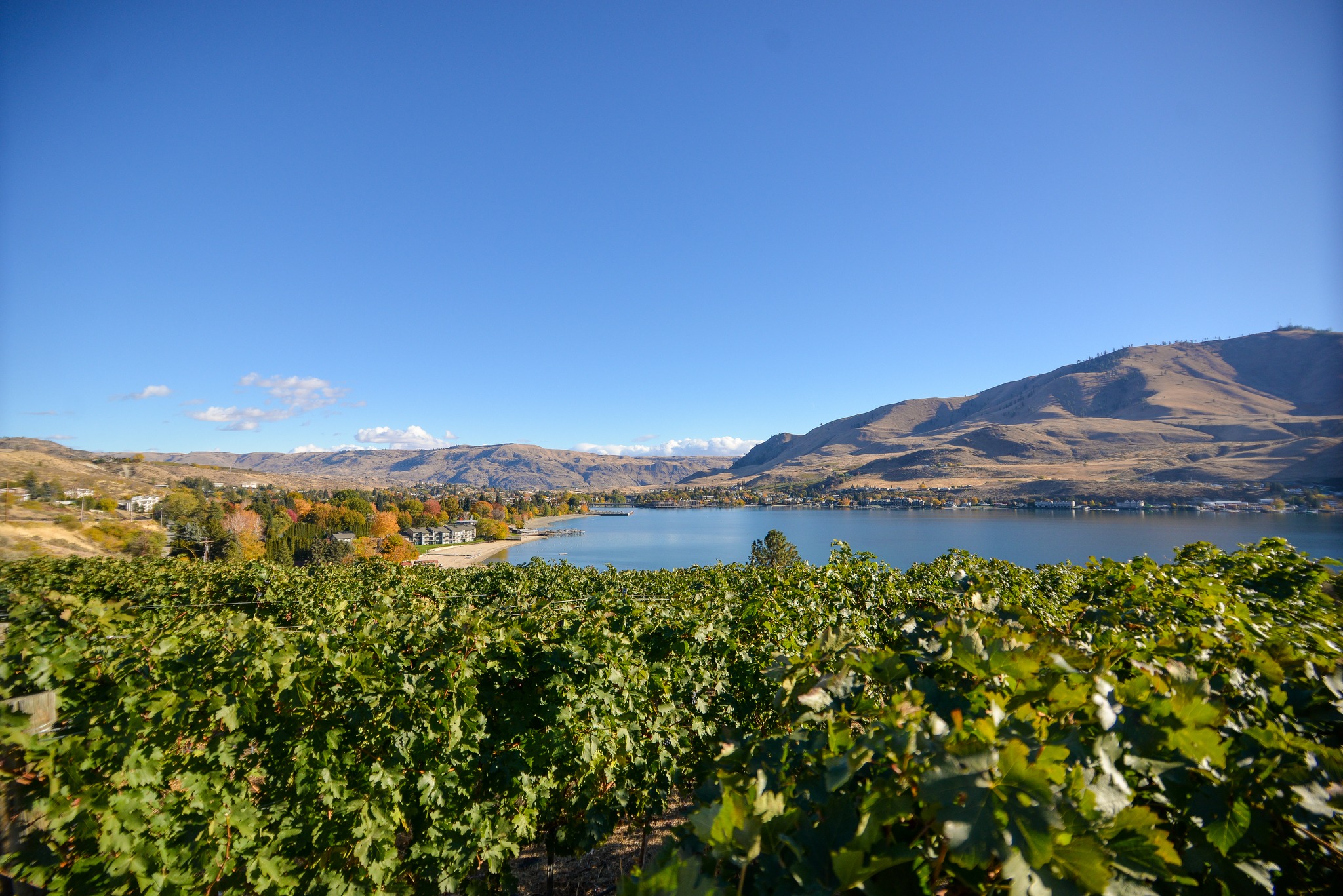 Vin Du Lac Winery vineyard rows Lake Chelan wine region