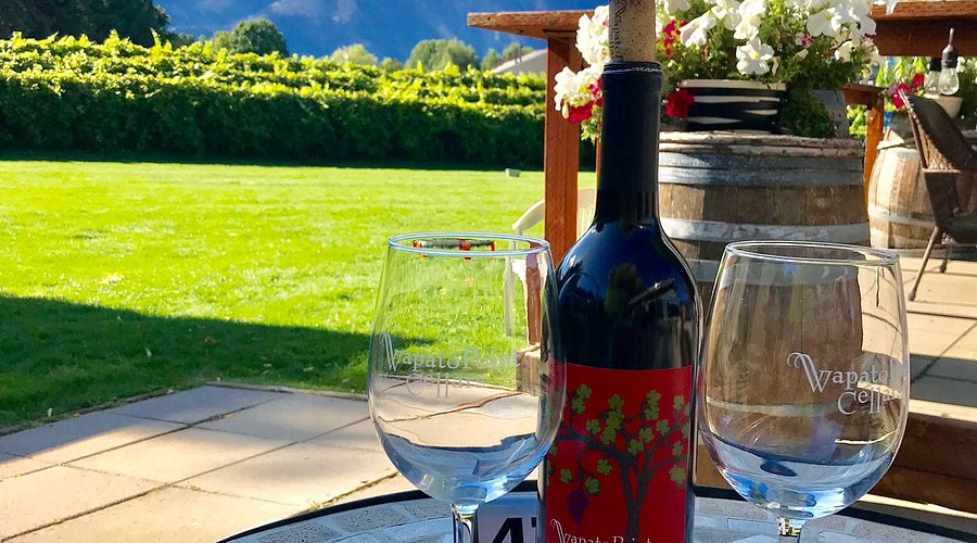 Wapato Point Cellars winery property and marina in Manson WA